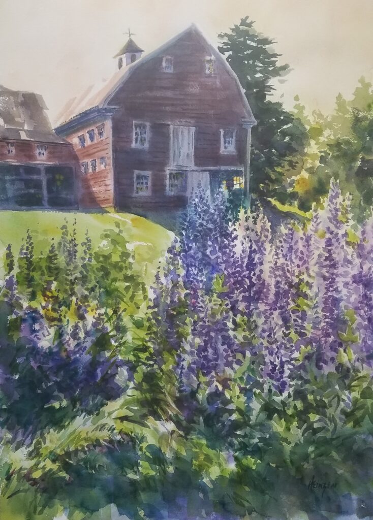 Lupines and Barn